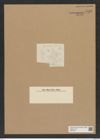 Diatomeae indet. Zeichnungen Sammlung Grunow Nr. 6933 (NHMW-BOT-W0375816)